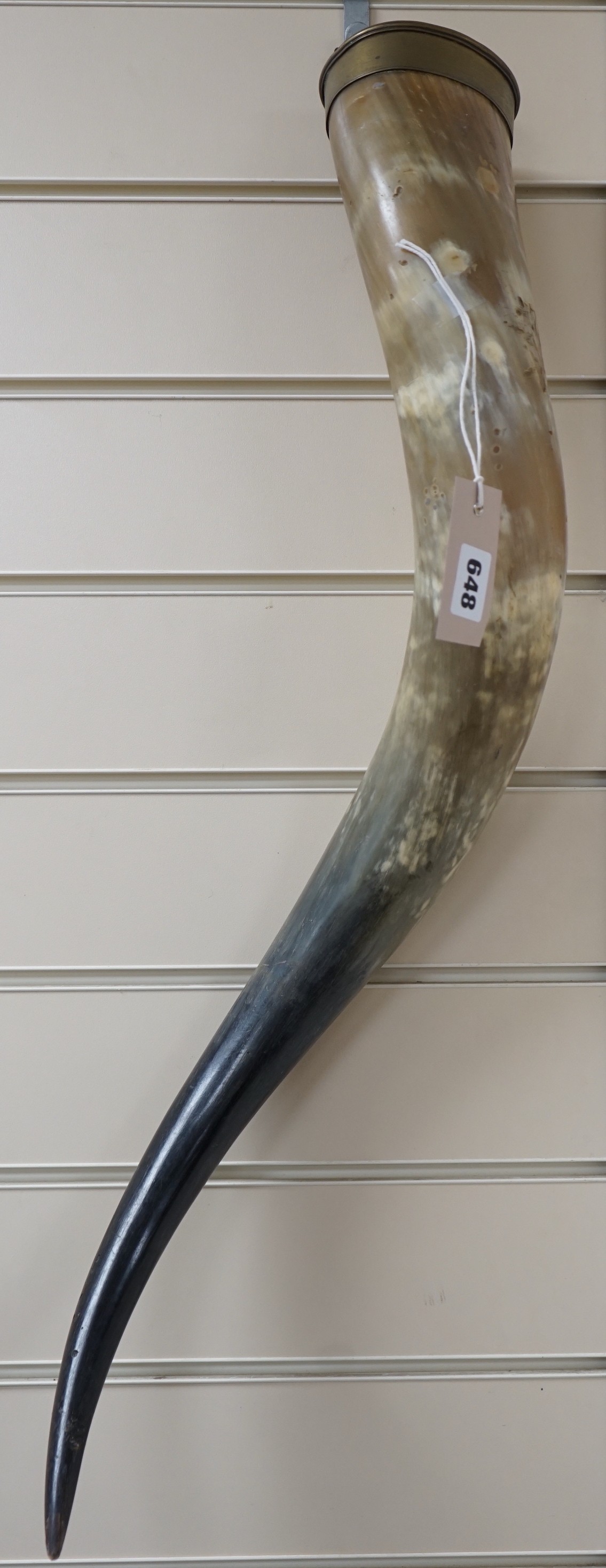 A large Florentine horn. Approx 70cm tall